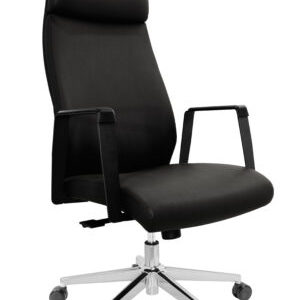 Sillón Directivo 10201N