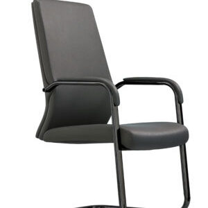 Sillón Directivo 10203G