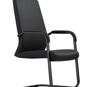 Sillón Directivo 10203N
